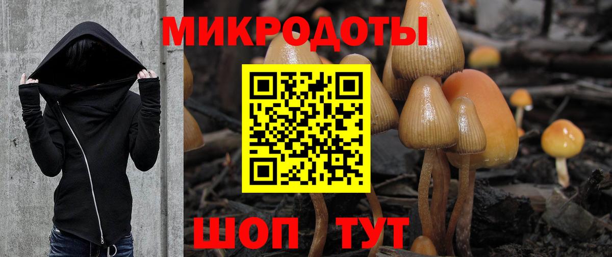 Галлюциногенные грибы прущие грибы Соликамск