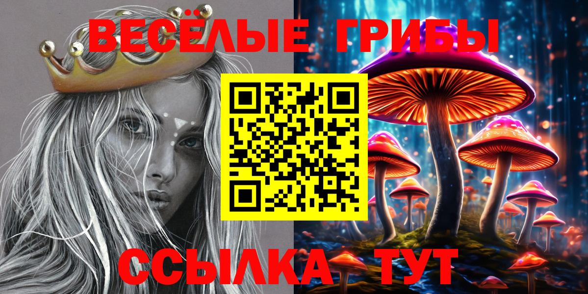 Псилоцибиновые грибы MAGIC MUSHROOMS  Вход с VPN  Соликамск  Псилоцибиновые грибы мицелий 